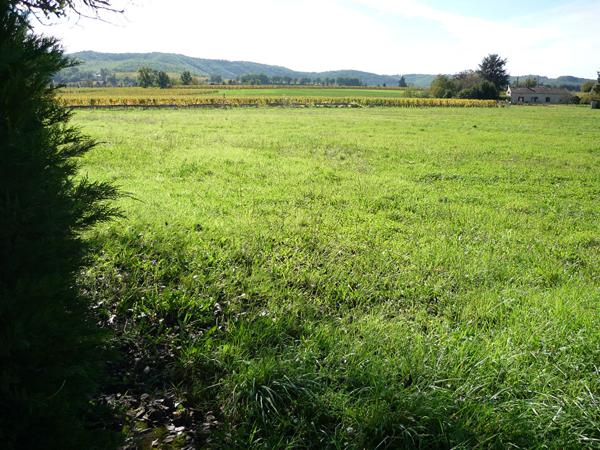 Terrain Puy L'Evêque 10440 m2