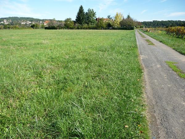 Terrain Puy L'Evêque 10440 m2