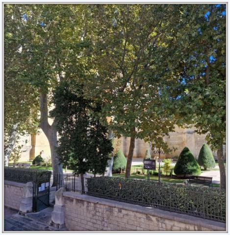 Immeuble à vendre NARBONNE (11)