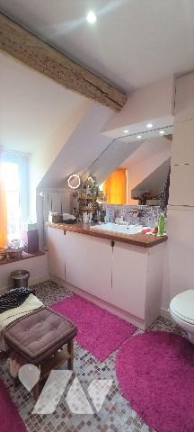 Propriété de 8 pièces, 168 m²+ 101 m²habitable, piscine chauffée, dépendances sur 6 453 m² de jardin