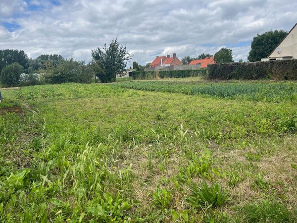 Terrain constructible - 1000m² - SAINT OMER