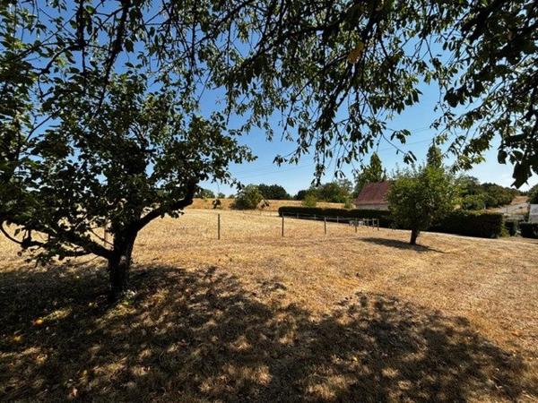 Loches, produit rare, beau potentiel, maison familiale !