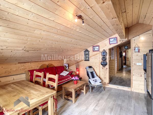 Unique pieds des pistes appartement T3