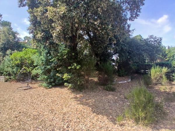 Lacanau (33680) LACANAU - LAC terrain constructible