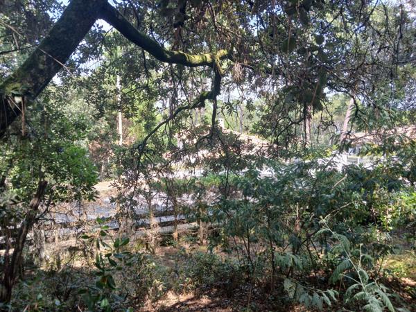 Lacanau (33680) LACANAU - LAC terrain constructible