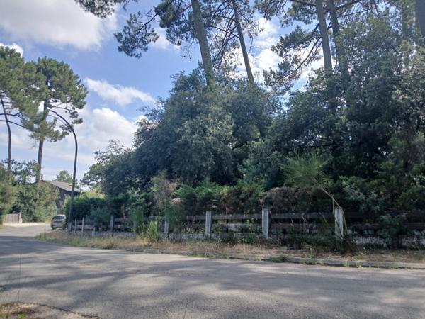 Lacanau (33680) LACANAU - LAC terrain constructible