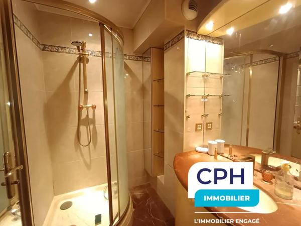 Appartement à vendre à Saint-Maurice (94410)