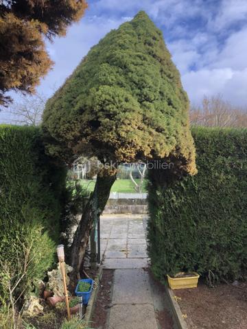 Maison traditionnelle de 50 m²