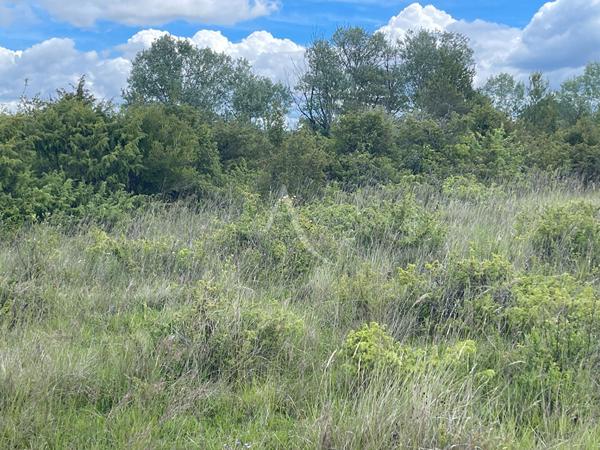 TERRAIN AGRICOLE SAINT JULIEN