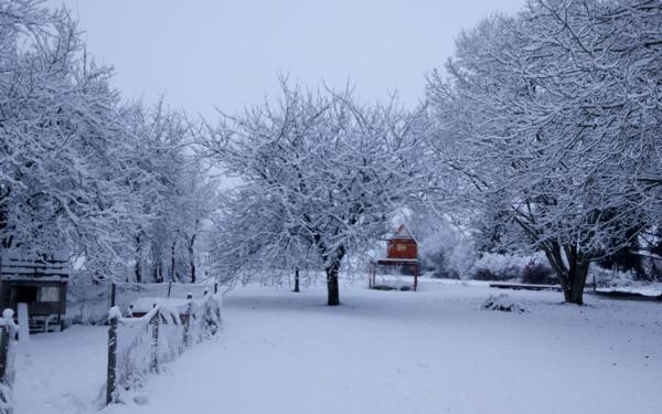 Maison à vendre    5 pièces •  Pougny
