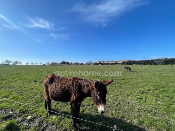GRAND Terrain constructible ZAC à NIORT 79000