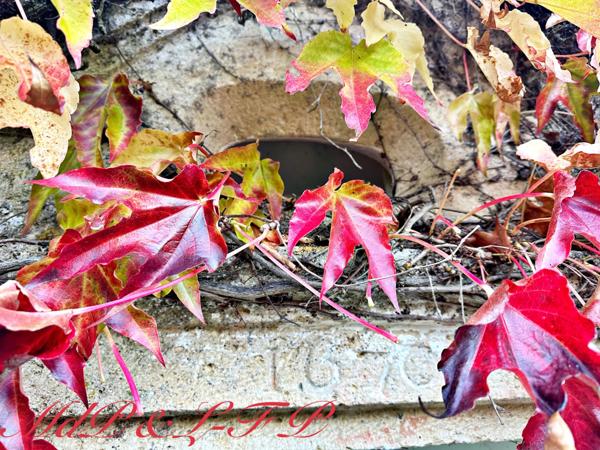 Domaine de caractère du XVIIème