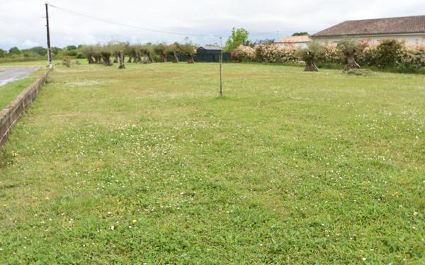 Terrain à vendre    Hagetmau