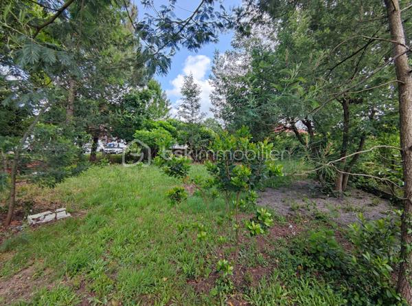 [CENTRE-VILLE / MAISON 5 CH / DOUBLE GARAGE / DEPENDANCE T2 / PARC ARBORÉ / CONSTRUCTIBILITÉ RÉSIDUELLE / PISCINABLE / BONNE PERFORMANCE ÉNERGÉTIQUE]

Venez explorer tout le potentiel de ce bien familial situé entre le centre-ville de Biganos et le Lac Vert, en dehors des nuisances olfactives et sonores, à 1 km de la gare et à 500 m des commerces, dans un environnement central et résidentiel. 

La propriété se compose d'une maison principale de 133 m² répartis sur 2 niveaux, d'un garage de 47 m², d'une dépendance aménagée en habitation (à rénover) de 32m², le tout sur une parcelle de près de 1500 m² disposant de constructibilité résiduelle (parcelle non divisible). 

Agencée sur deux niveaux, la maison principale se compose : 
-> Au rez-de-chaussée : 
     - une entrée donnant sur un salon
     - une cuisine indépendante de 12 m²
     - une grande buanderie de 17 m² (pouvant être réduite pour agrandir la pièce de vie) 
+ un double garage de 47m², attenant*

-> À l'étage : 
     - 5 chambres entre 9m² et 13 m² 
     - salle d'eau

-> À l'extérieur : 
     - Dépendance de 32 m² distribuée en T2 (à rénover) pour accueillir la famille ou pour générer un revenu locatif confortable, 
     - Terrain piscinable sans vis a vis et disposant de constructibilité résiduelle
     - Plusieurs stationnements sur la parcelle

La maison dispose d'une très bonne performance énergétique grâce à une isolation par l'extérieur des murs, à une isolation conséquente des combles, et un système de chauffage par pompe à chaleur géothermique. 

Quelques travaux permettront d'exploiter le fort potentiel de ce bien à visiter sans tarder ! 
---