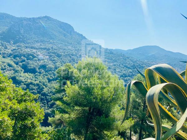 Terrain Castagniers 1400 m2