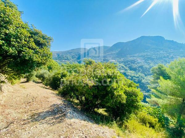 Terrain Castagniers 1400 m2