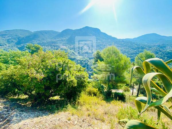 Terrain Castagniers 1400 m2