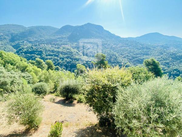 Terrain Castagniers 1400 m2