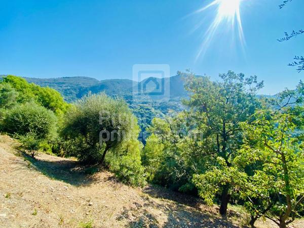 Terrain Castagniers 1400 m2