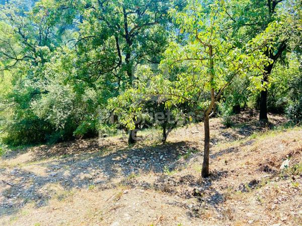 Terrain Castagniers 1400 m2