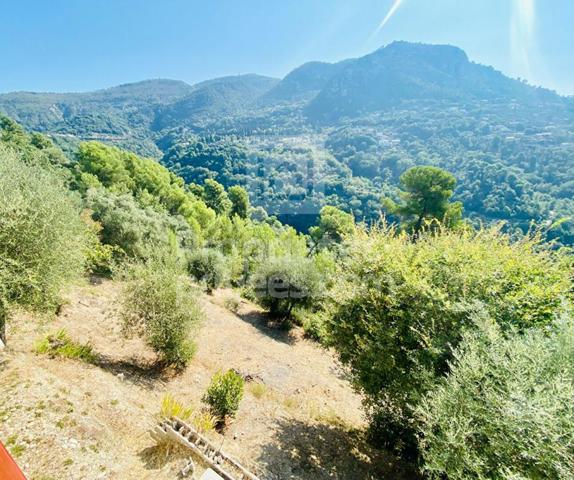 Terrain Castagniers 1400 m2