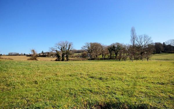 Maison à vendre    7 pièces •  Orthez