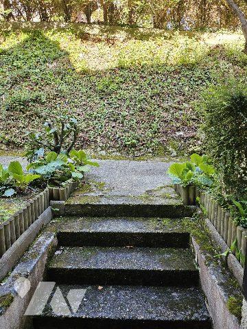 Appartement à vendre Blonville-sur-Mer