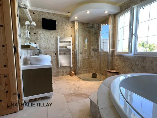 Saint Denis en val , proche Orleans, maison contemporaine de 2005, jardin paysagé et piscine