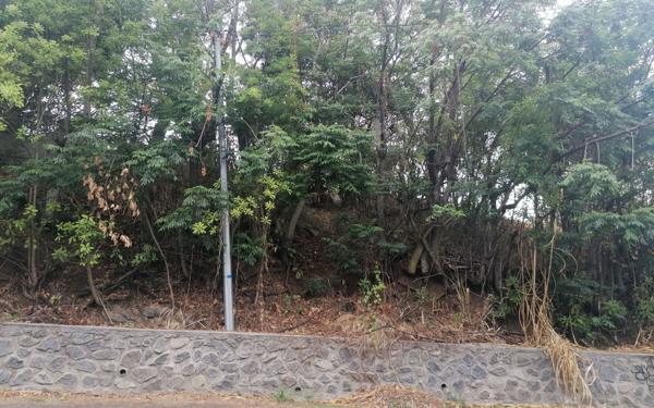 Terrain à vendre    Saint-Paul