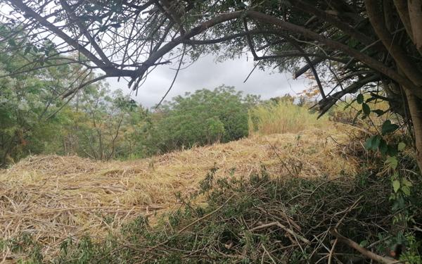 Terrain à vendre    Saint-Paul