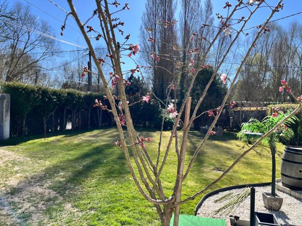 Maison 3 pièces - 63 m² Exclusivité efficity