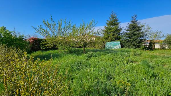 Terrain Fors 500 m2