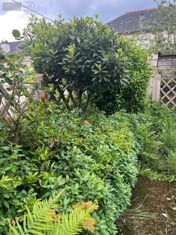 Maison à vendre à Rennes en Ille-et-Vilaine (35200), ref : 145/555 La Binquinais