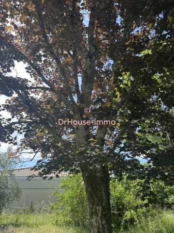 Maison à vendre 10 pièces de 200 m²