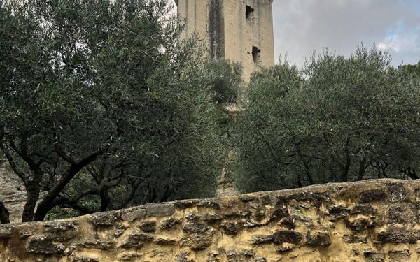 Maison à vendre    5 pièces • 206 m2 Barbentane