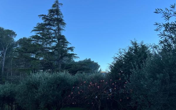 Maison à vendre    5 pièces • 206 m2 Barbentane