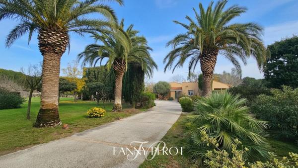 Mas de plain pied de 220m² avec 2 appartements indépendants à Saint-Cyprien