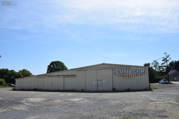 Local professionnel à vendre à La Bazoge-Montpinçon en Mayenne (53440), ref : 53075-FC121