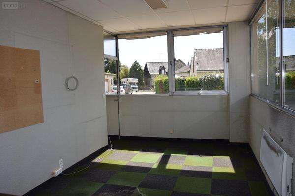 Local professionnel à vendre à La Bazoge-Montpinçon en Mayenne (53440), ref : 53075-FC121