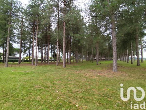 Maison à vendre 5 pièces 93 m² Longué-Jumelles