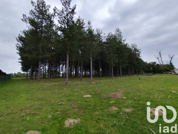 Maison à vendre 5 pièces 93 m² Longué-Jumelles