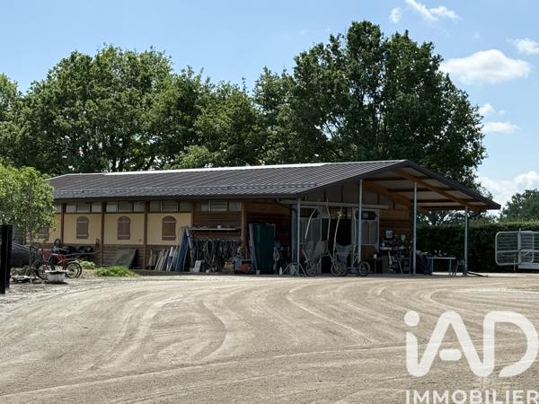 Maison à vendre 2 pièces 61,56 m² Sancoins