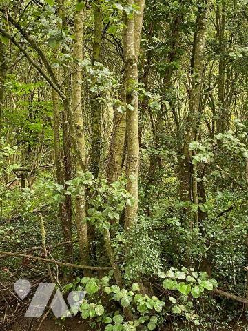 BOIS LA BOUSSAC