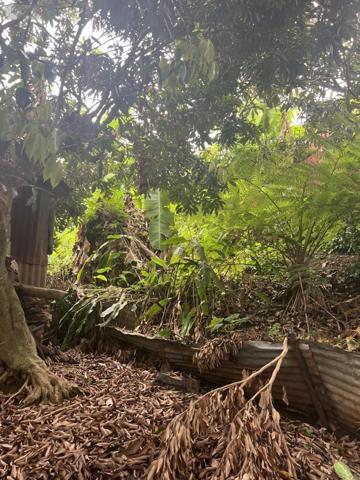 Maison à vendre à Entre-Deux à la Réunion (97414), ref : 97411-301