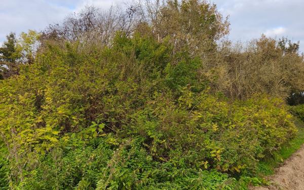 Maison à vendre    2 pièces •  Mametz