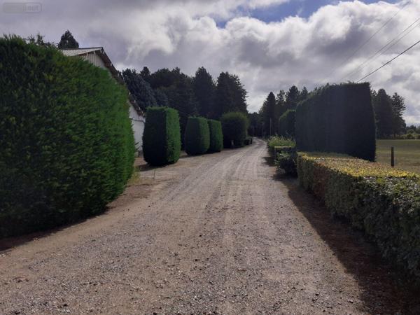 Autres types de propriété à vendre à Saint-Ouen-en-Belin dans la Sarthe (72220), ref : 024/348