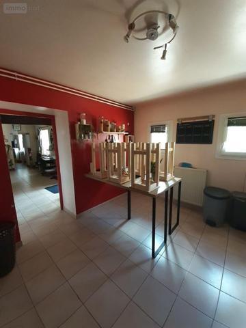 Autres types de propriété à vendre à Saint-Ouen-en-Belin dans la Sarthe (72220), ref : 024/348