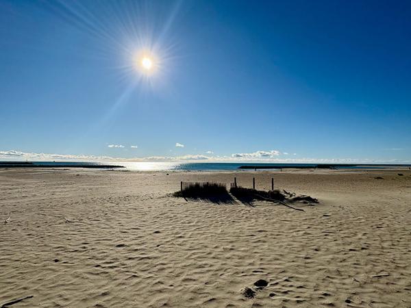 Murs commerciaux Sète 5 pièces 109.30 m²