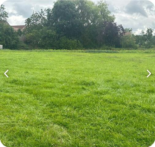 Propriete à vendre 7 pièces proche CHARMES (88) FERME & HANGAR sur 7500 m2 TERRAIN