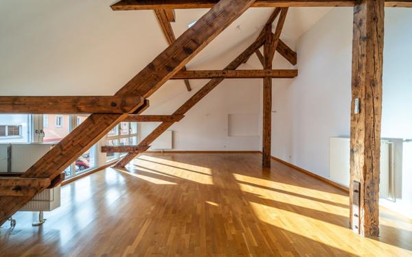 Appartement à vendre    4 pièces • 165 m2 Schiltigheim